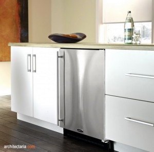 Built-in and cabinet-sized refrigerator