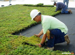 green roof_2