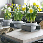 Tips Merangkai Bunga Sederhana untuk Hiasan Meja