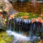 Air Terjun dan Fountain Untuk Taman Yang Mungil