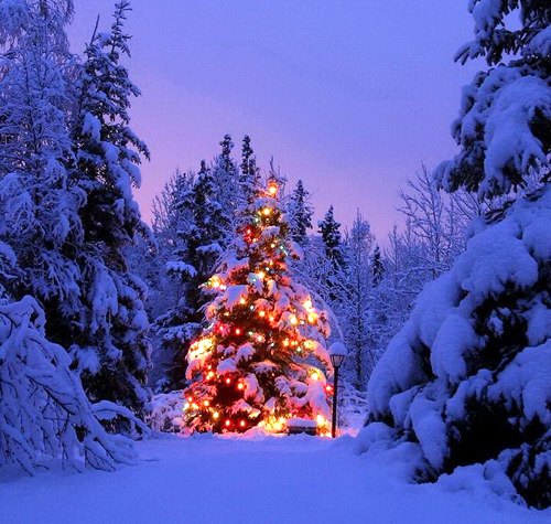 Hiasan Pohon Natal Salju Kumpulan Gambar Bagus