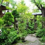 Dua Ornamen Penting untuk Melengkapi Taman Ala Jepang: Arbor dan Pagar
